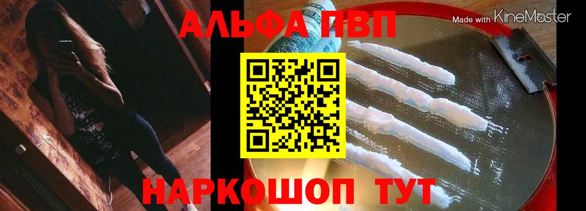 Альфа ПВП СК Надым
