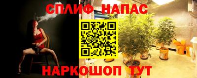 spice Гай