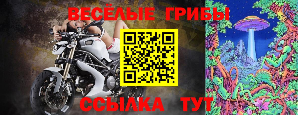Псилоцибиновые грибы Cubensis  где купить   Надым  Вход с VPN 