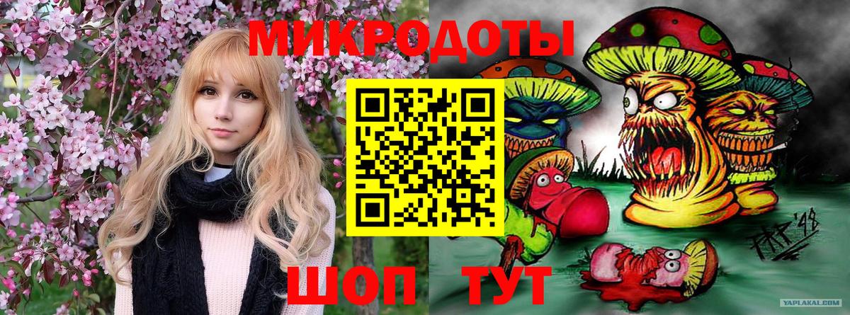 Галлюциногенные грибы Magic Shrooms Надым